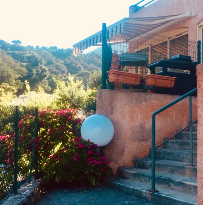 Cavalaire Vue Mer Au Loin Maisonnette Tout Equipee Pour 4 Personnes Avec Piscine Clim Wifi Velos Tv Barbecues Екстериор снимка